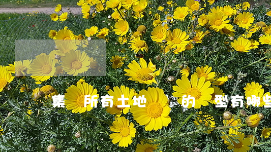 集體所有土地轉讓的類型有哪些