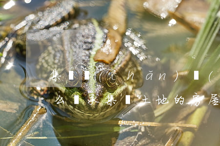集體產(chǎn)權(quán)房子怎么繼承(集體土地的房屋繼承怎樣分割)