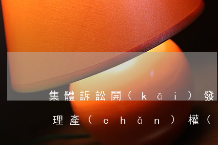 集體訴訟開(kāi)發(fā)商逾期辦理產(chǎn)權(quán)證-逾期辦理房產(chǎn)證集體訴訟