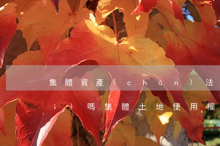 集體資產(chǎn)法院可以拍賣(mài)嗎(集體土地使用權(quán)法院可以拍賣(mài)嗎?)