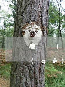雇傭關(guān)系賠償與工傷賠償哪個(gè)高