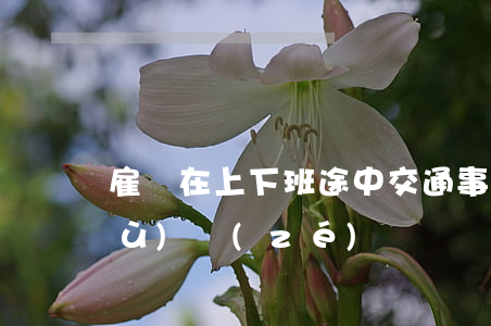 雇員在上下班途中交通事故,雇主是否負(fù)責(zé)