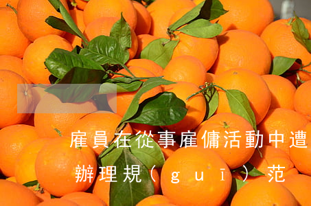雇員在從事雇傭活動中遭受人身損害的案件辦理規(guī)范