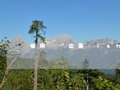 雇用車輛出事誰(shuí)賠償