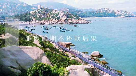雏鹰逾期不还款后果