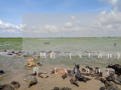 雖然套現(xiàn)但是沒有逾期坐牢嗎(套現(xiàn)違法會判刑嗎)