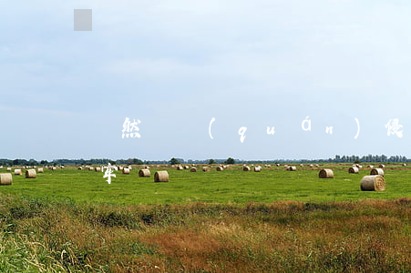 雖然職權(quán)侵占離婚雙方也能坐牢