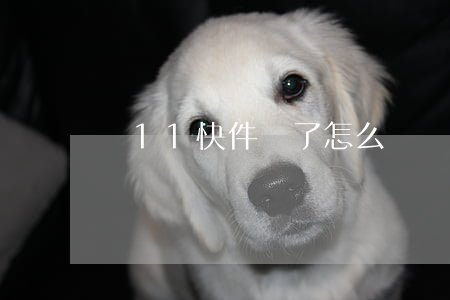 雙11快件丟了怎么辦