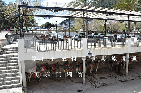 雙11支付寶逾期能開通嗎-支付寶逾期了可以開淘寶