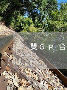 雙GP合作議書