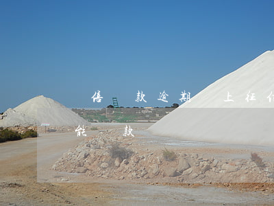雙倍還款逾期會上征信嗎(征信有兩次逾期還能貸款嗎)