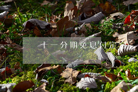 雙十一分期免息付定金 雙11分期免息