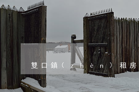 雙口鎮(zhèn)租房(雙橋附近租房一居)