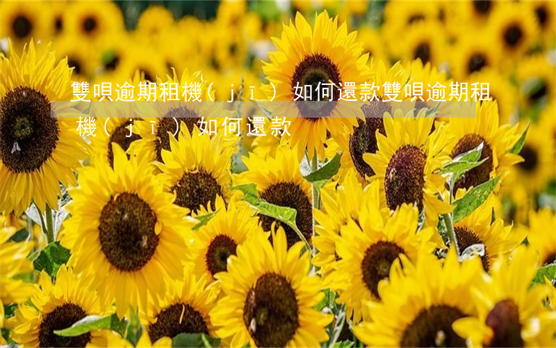 雙唄逾期租機(jī)如何還款(雙唄逾期租機(jī)如何還款)