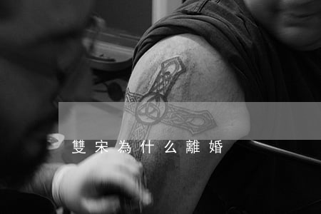 雙宋為什么離婚