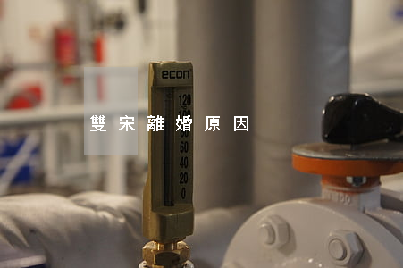 雙宋離婚原因