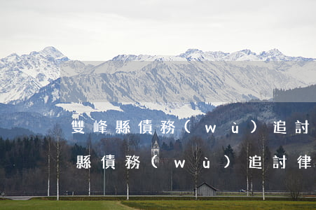 雙峰縣債務(wù)追討律師怎么委托(雙峰縣債務(wù)追討律師怎么委托)