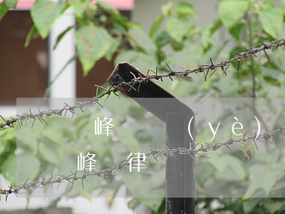 雙峰縣專業(yè)債務(wù)律師-雙峰縣律師電話