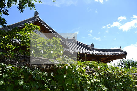 雙峰縣離婚債務(wù)糾紛律師事務(wù)所(雙峰縣離婚債務(wù)糾紛律師事務(wù)所)