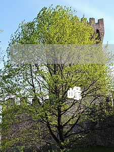 雙峰縣離婚財產(chǎn)律師風險代理