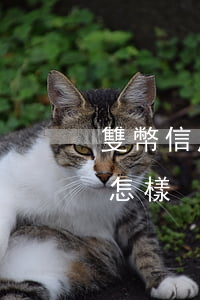 雙幣信用卡 手續(xù)費（雙幣信用卡利息怎樣）