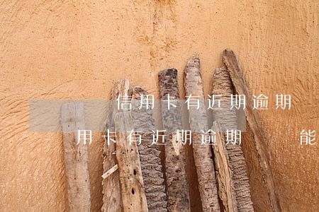 雙幣信用卡有近期逾期記錄能辦嗎-雙幣信用卡有近期逾期記錄能辦嗎安全嗎
