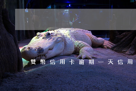 雙幣信用卡逾期一天(信用卡 逾期 一周)
