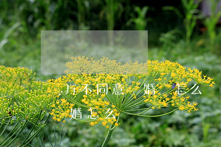 雙方不同意離婚該怎么辦(婚姻中一方不同意離婚怎么辦)
