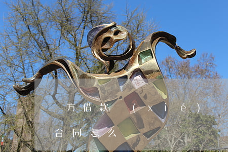 雙方借款協(xié)議書怎么寫(雙方借款合同怎么寫)