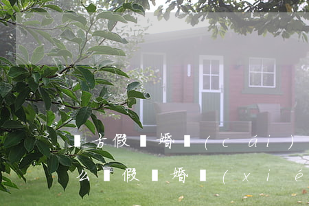 雙方假離婚財(cái)產(chǎn)怎么辦(假離婚協(xié)議哪里可以辦)