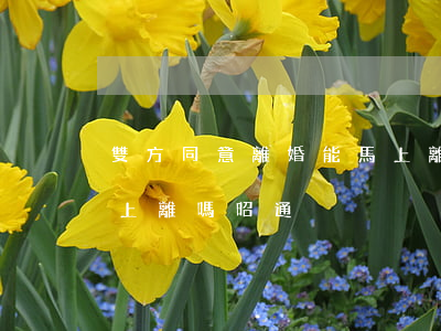 雙方同意離婚能馬上離嗎(雙方同意離婚能馬上離嗎昭通)