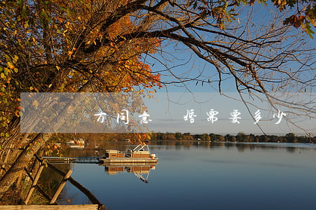 雙方同意離婚需要多少錢(雙方自愿離婚要錢嗎)