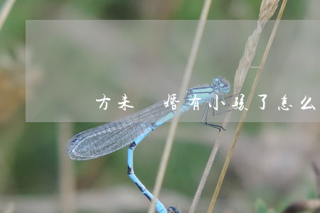 雙方未離婚有小孩了怎么辦