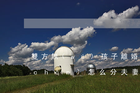 雙方無(wú)孩子離婚財(cái)產(chǎn)怎么分(夫妻離婚沒(méi)有孩子財(cái)產(chǎn)怎么分)
