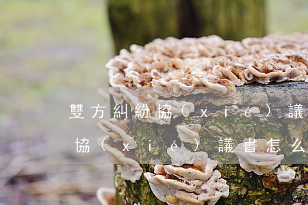 雙方糾紛協(xié)議書怎么寫(雙方糾紛協(xié)議書怎么寫)
