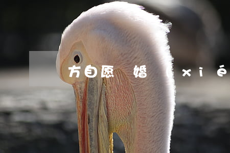 雙方自愿離婚協(xié)議書模板