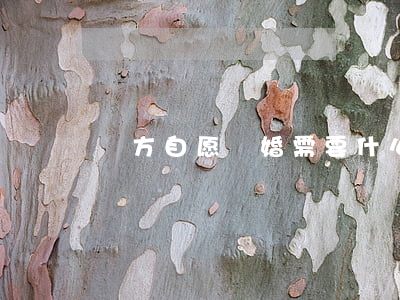 雙方自愿離婚需要什么手續(xù)