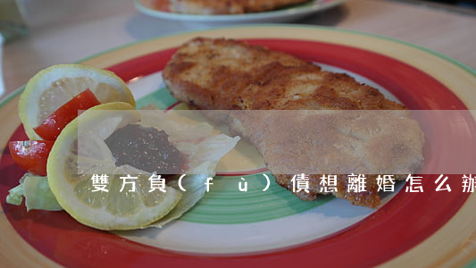 雙方負(fù)債想離婚怎么辦