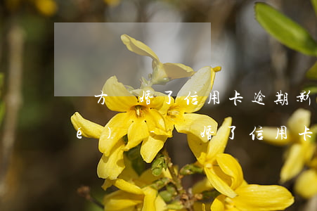 雙方離婚了信用卡逾期影響孩子上學(xué)嗎-離婚了信用卡逾期會(huì)影響孩子嗎