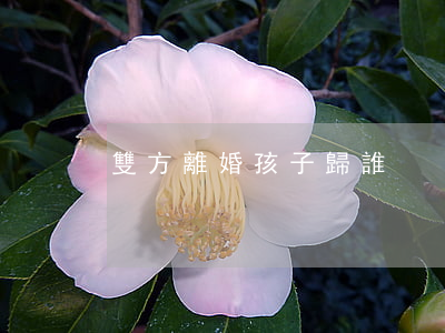 雙方離婚孩子歸誰