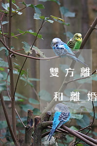 雙方離婚證丟了女方要離婚該怎么辦(離婚證和離婚協(xié)議丟了怎么補(bǔ)辦需要哪些)