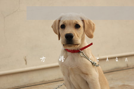 雙方離婚財產(chǎn)怎么分