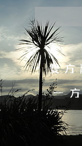 雙方離婚過(guò)錯(cuò)方咬另一方(離婚過(guò)錯(cuò)的一方應(yīng)該承擔(dān)什么責(zé)任)