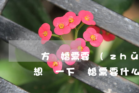 雙方離婚需要準(zhǔn)備什么材料(我想問一下離婚需要什么材料)