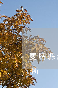雙牌縣練山法律事務所(雙牌縣練山法律事務所)