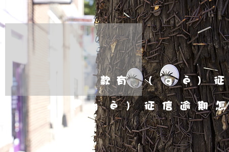 雙簽貸款有個(gè)征信逾期(雙簽貸款有個(gè)征信逾期怎么辦)