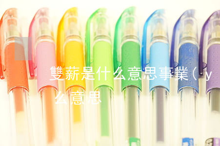 雙薪是什么意思(事業(yè)單位雙薪是什么意思)