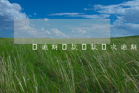 雙逾期貸款(貸款兩次逾期嚴(yán)重嗎)