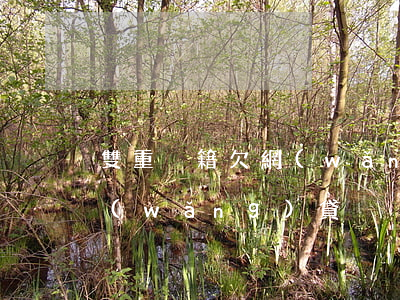 雙重戶籍欠網(wǎng)貸(雙重戶籍欠網(wǎng)貸)
