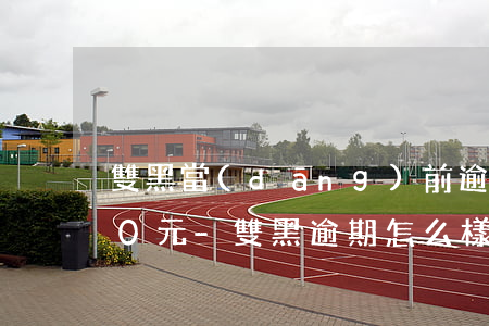 雙黑當(dāng)前逾期怎么借到1000元-雙黑逾期怎么樣才能借到錢